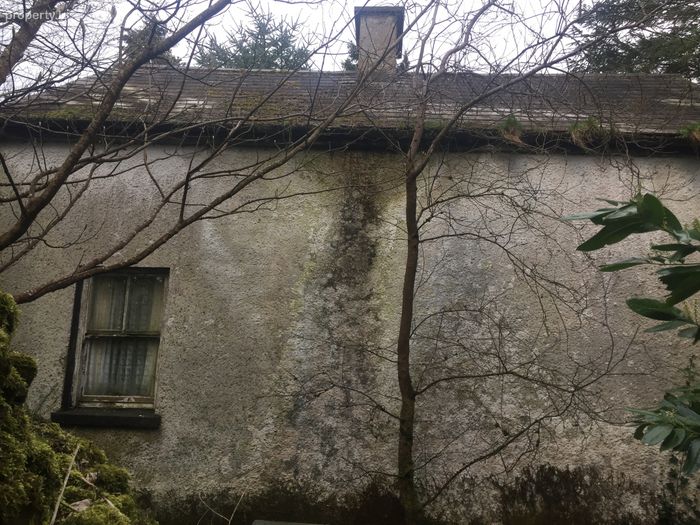 Glencollins Lower, Ballydesmond, Co. Cork Property.ie