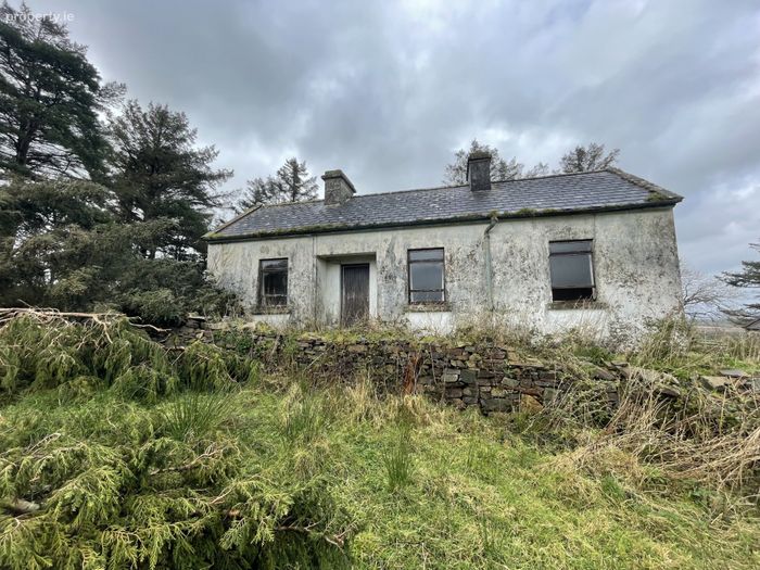 Kiltarsaghaun, Killawalla, Westport, Co Mayo, Killavally, Co. Mayo