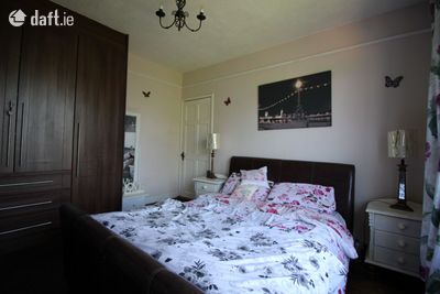 Image - 13