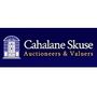 Cahalane Skuse Auctioneers & Valuers