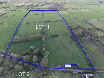 C. 28.80 Acres, Cornashinnagh, Fourmilehouse, Co. Roscommon, Four Mile House, Co. Roscommon