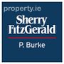 Sherry FitzGerald P. Burke Logo