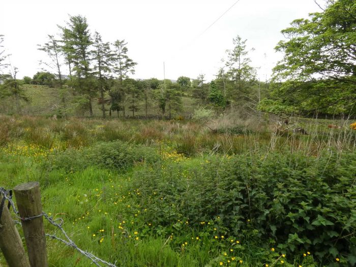 Gortnabrade, Carrigart, Co. Donegal Property.ie