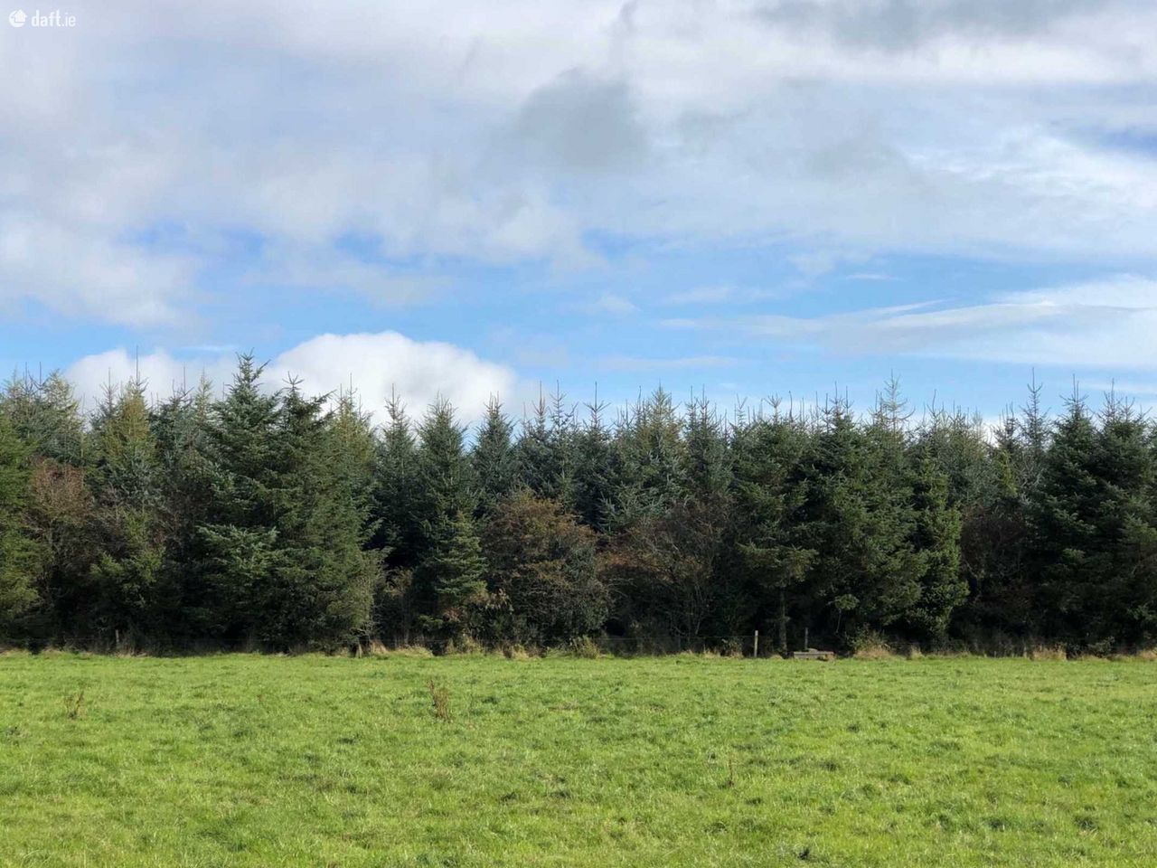 Forestry at Aughavanlomaun, Newcastle, Co. Tipperary