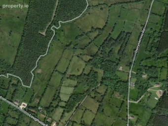 C. 10 Acres Of Agricultural Land At Loughside Road, Drumnasreane,garrison, Enniskillen, Co. Fermanagh, BT93 4FB - Image 2