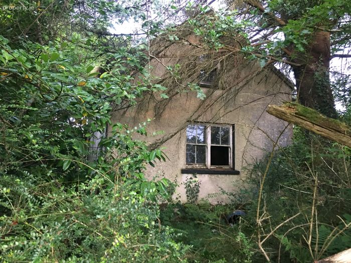 Glencollins Ballydesmond, Ballydesmond, Co. Cork Property.ie