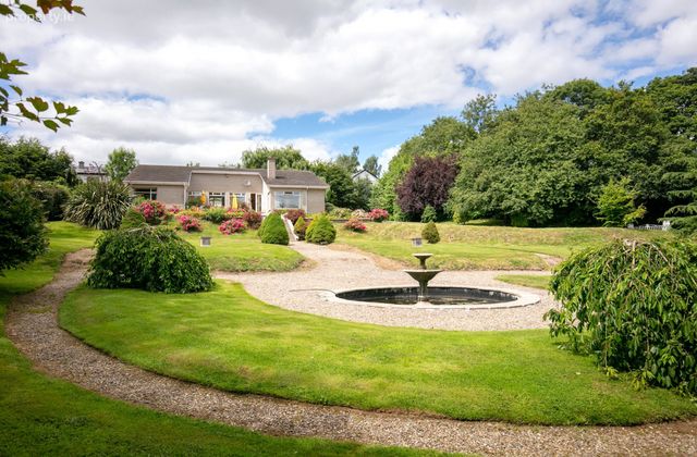 Bohreen Hill, Enniscorthy, Co. Wexford - Click to view photos