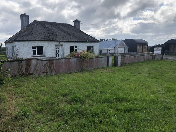 Ballinahown, Athlone, Co. Westmeath Property.ie