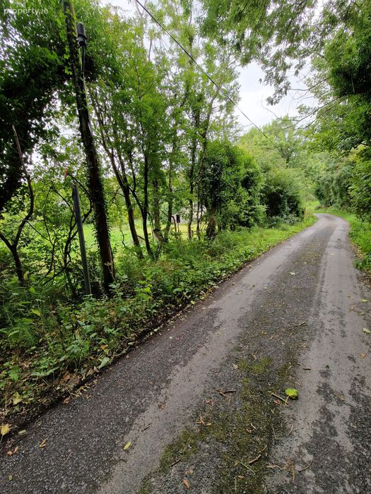 The Hollow, Rossnowlagh Upper, Rossnowlagh, Co. Donegal Property.ie