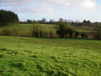 Tully, Loughglynn, Castlerea, Co. Roscommon - Image 5