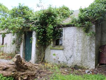 Mountkelly, Rathvilly, Co. Carlow - Image 3
