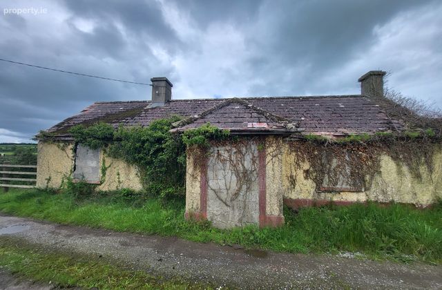 Derrydavy, Mountmellick, Co. Laois - Click to view photos