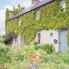 Scarvagh House, 31 Old Mill Road, Scarva, Craigavo, Banbridge, Co. Down - Image 4