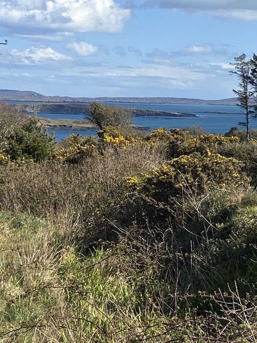 Bill Barry's Road, Schull, Co. Cork Property.ie