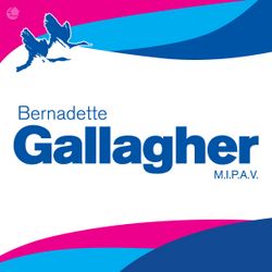 Gallagher Auctioneers Ltd
