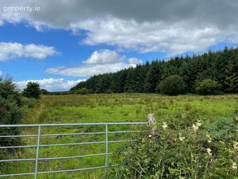 Cloonreliagh, Ballinlough, Co. Roscommon - Image 5