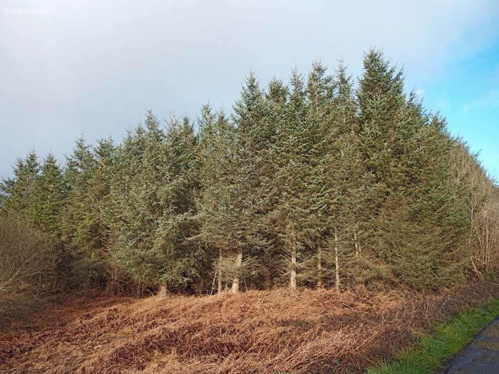 Shragh, Kilrush, Co. Clare Property.ie