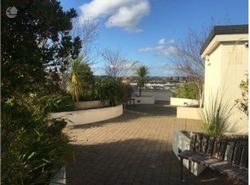 View From Rooftop Garden. 