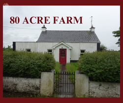 Pollnahallia, Belclare, Tuam, Co. Galway - Detached house