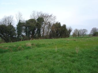 Kilfoylan, Moate, Co. Westmeath - Image 2