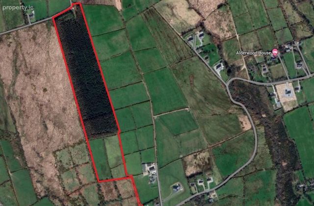 20.5 Acres Land (folio Ky19080), Boolteens, Castlemaine, Killarney, Co. Kerry - Click to view photos