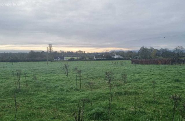 2 X 3.5 Acres Sites Spp, Palatine, Co. Carlow - Click to view photos