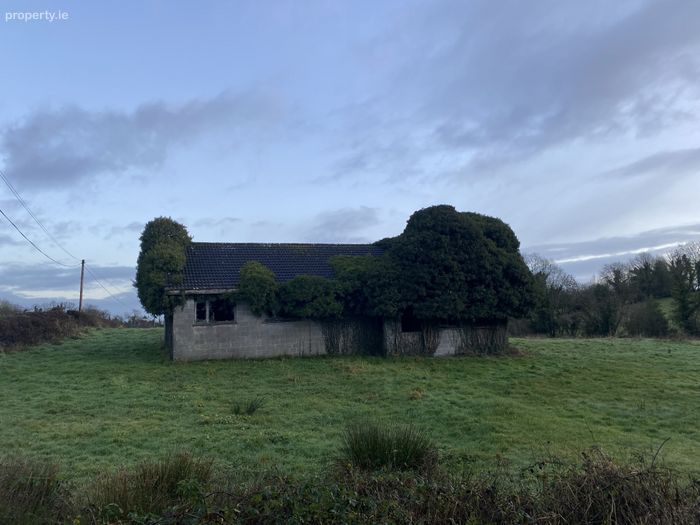 Feebaghbane, Scotstown, Monaghan., Co. Monaghan Property.ie